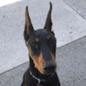 Meet your Posher, Carla